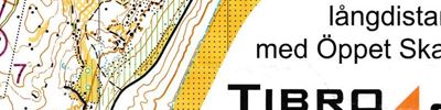 Tibro långdistans (2025-04-06)