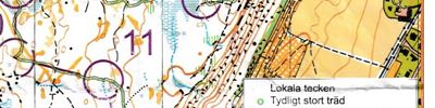 POL P4 (2026-06-04)