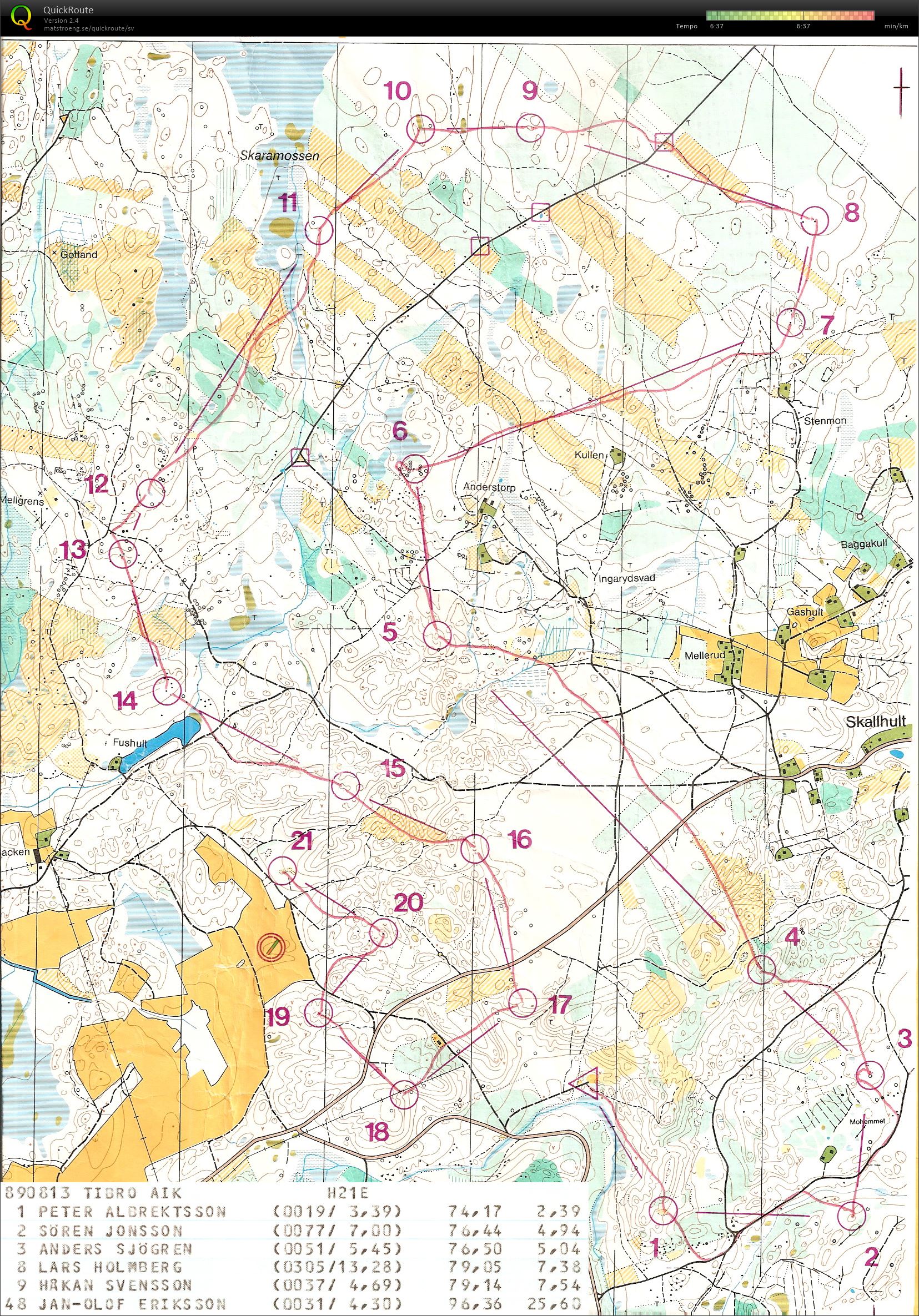 Tibroträffen (13/08/1989)